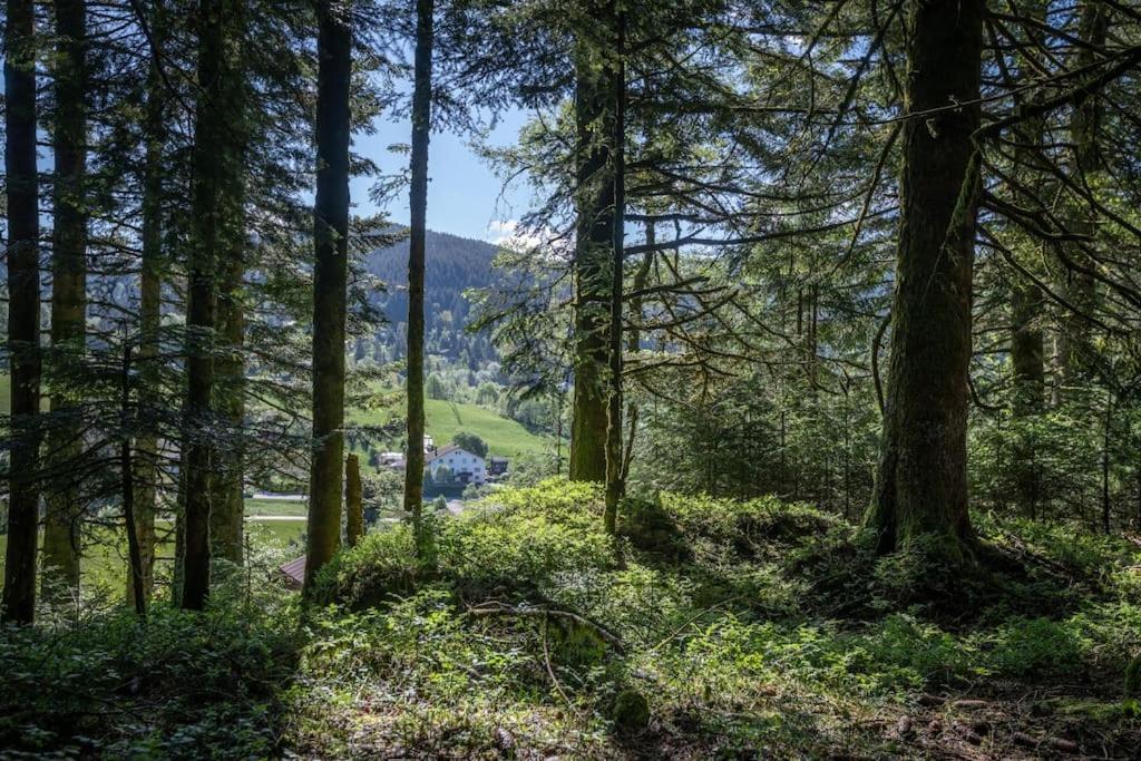 Charmant Chalet Cosy & Paisible En Pleine Nature - Refuge Idyllique Pour 5P Gérardmer Exterior foto